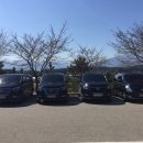 동강의품속 이미지