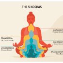 탈마법 시대에서 바라본 인도 요가 시스템의 5대 코샤(Kosha) 기초편 이미지