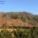 읍내5리 마을회관 이미지