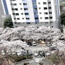 내동아파트단지 사거리 이미지