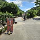 청강수계곡펜션 | 대전근교계곡 :) &#34;청강수 계곡 펜션 가든&#34; 충남 금산 청강수 계곡 평상대여 백숙