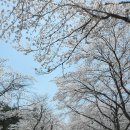 칠갑산장곡마을 이미지