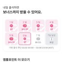 엠넷 출첵 이미지