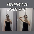 딩가딩 | 인천 지방분해주사 2회차 팔뚝 후기