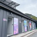 [여행] 할로윈 위크 청도 캠프1530 오토캠핑장