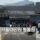 27 | 27개월 아이와 과천 서울대공원 동물원 [주차, 입장료, 준비물, 추천루트]
