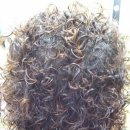 최은희헤어 이미지