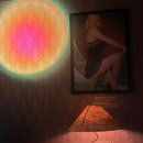 캐주얼 와인펍 태광정밀, 테라옥시타나 가메 시라, 라다치니 까베르네 소비뇽