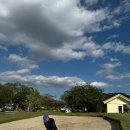 비전골프 이미지