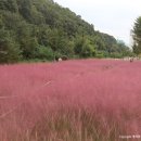 동호유적근린공원 이미지