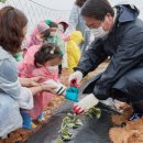 소통농장 이미지