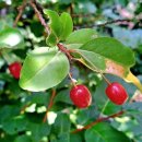 미륵산계곡꿈의궁전마을 이미지