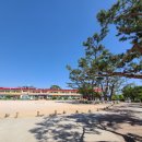 흥해서부초등학교 이미지