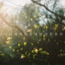 더블리나 이미지
