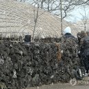 성읍리-26 이미지