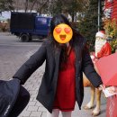 화천읍사무소 | 강원 화천 산타클로스 우체국 방문 후기(feat. 핀란드, 내부, 화장실, 엽서 보내기)