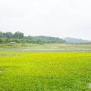 십이리체육공원 이미지