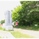 싸리재샘 티스토리