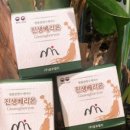 베리온