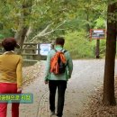 옹동청결떡방앗간 이미지