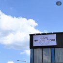 헤이, 댕댕 이미지