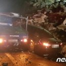 서천소방서-51 이미지