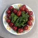 속초상회 이미지