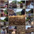 꿀사랑 양봉 이미지