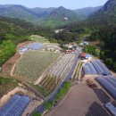 학송농장 이미지