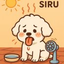 시루멍