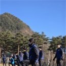주다 이미지
