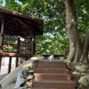 용초화장실 이미지