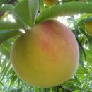 만물카센타 이미지