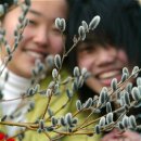 장전천2 이미지