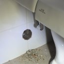 부루지길 이미지