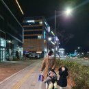 가야산식당 네이버블로그