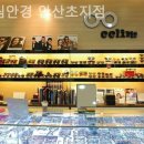 끌림안경(초지점) 이미지