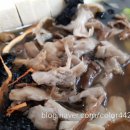 야생식당 이미지