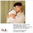 펫스토리 수가 이미지