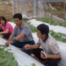 오장농장 이미지