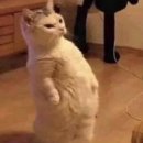 카페어몽 이미지