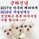 녹양세탁소 이미지