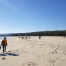 고래불 해수욕장 이미지