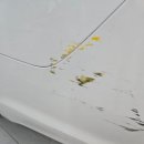 덴트앤카케어