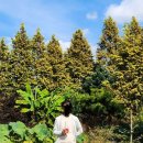 더 피트니스랩 이미지