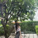 나연농장 이미지