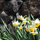 상예동-12 이미지