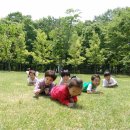 꿈나무유치원 이미지