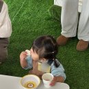 다산농장 | 스페이스팜 다산 아기랑 실내 놀러 갈만한 곳 농장체험