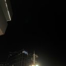 [부산 여행1_ 놀거리&amp;먹거리] in 남포동/송도/해운대 (부평깡통시장_이가네, 깡돼후, 주차장, 가격...